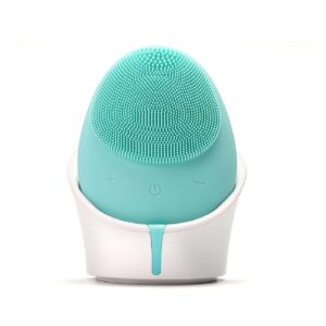 Rechargeable face brush
